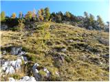 Planina Blato - Vrtec